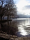 reflets dans l'eau.jpg